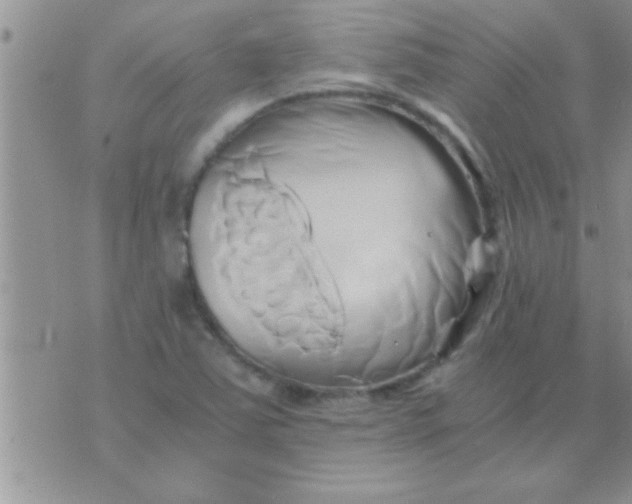 X0000071381363200607142100