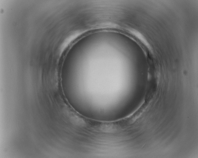 X0000071381364200607142100