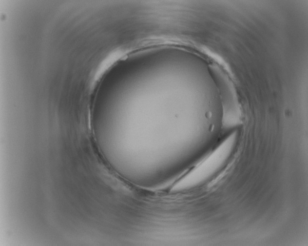 X0000071381365200607142100