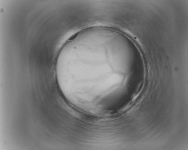 X0000071381367200607142100