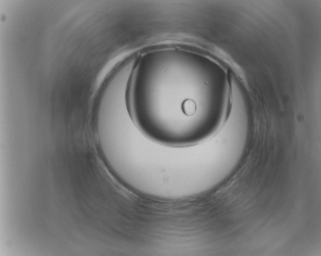 X0000071381368200607142100