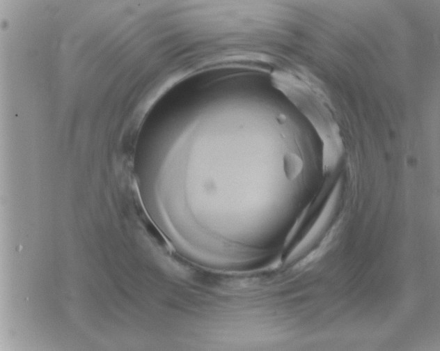 X0000071381369200607142100