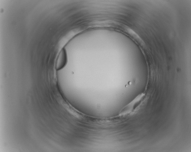 X0000071381370200607142100