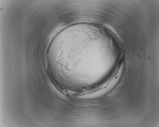 X0000071381371200607142100