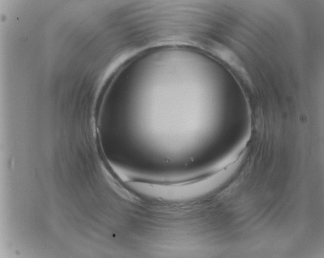 X0000071381372200607142100