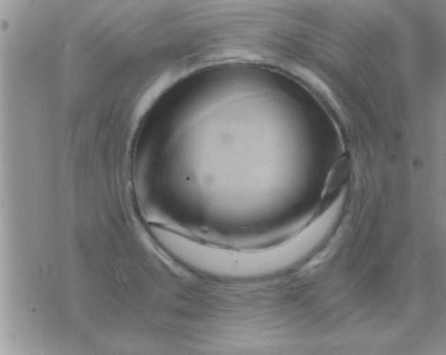 X0000071381373200607142100