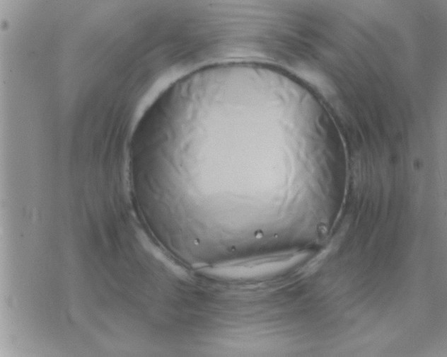 X0000071381374200607142100