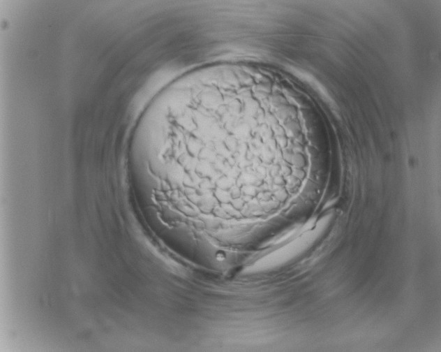 X0000071381375200607142100