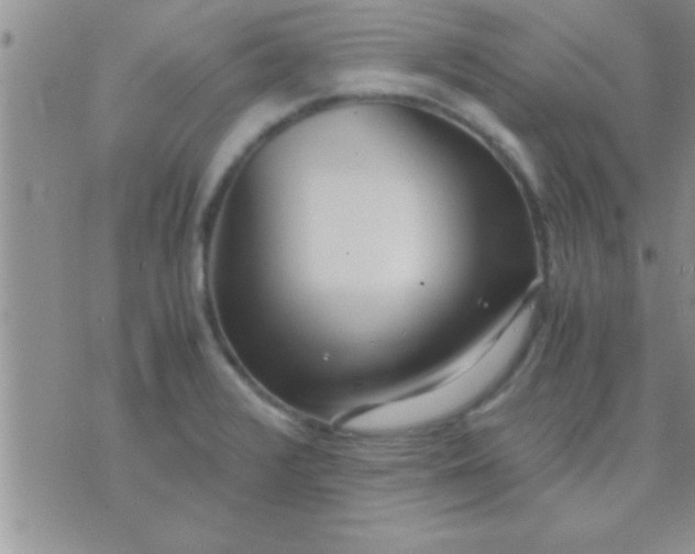 X0000071381376200607142100