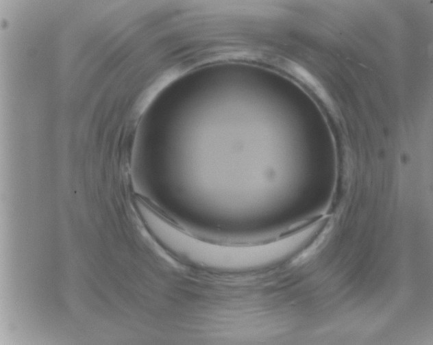 X0000071381377200607142100