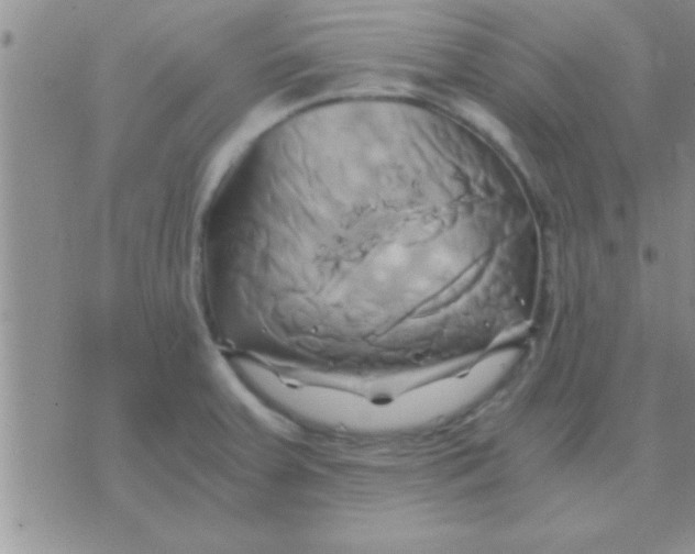 X0000071381379200607142100