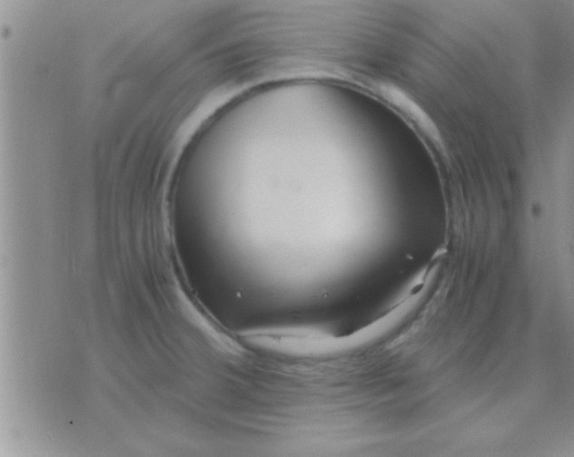 X0000071381380200607142100