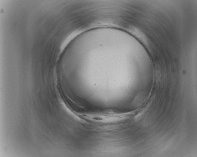 X0000071381382200607142100