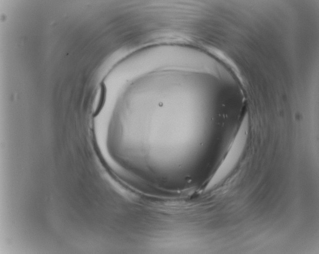 X0000071381383200607142100