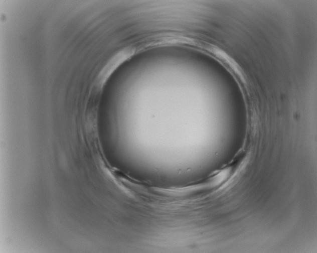 X0000071381385200607142059