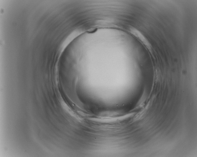 X0000071381386200607142059