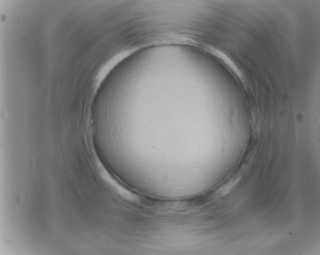 X0000071381387200607142059