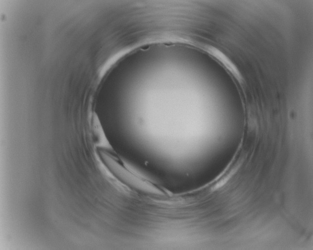 X0000071381388200607142059