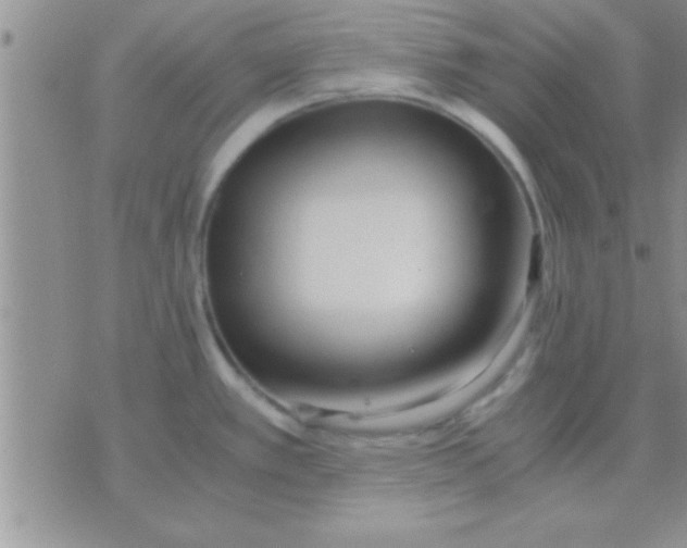 X0000071381389200607142059