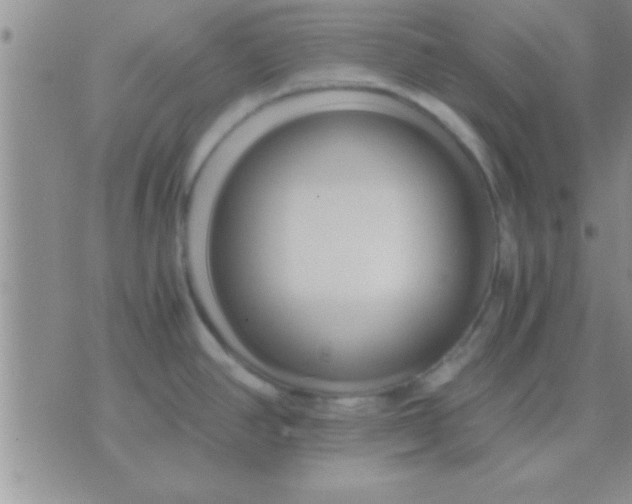 X0000071381390200607142059