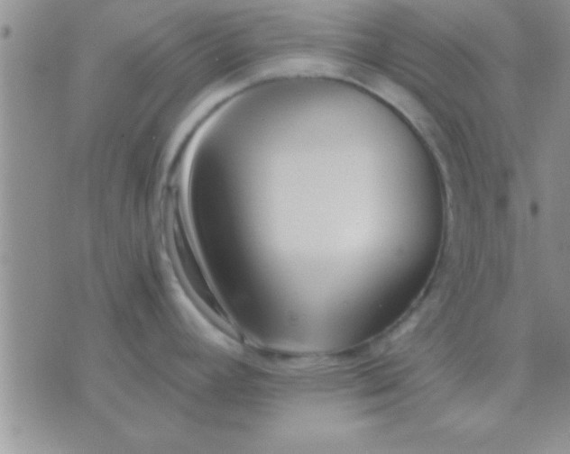 X0000071381392200607142059