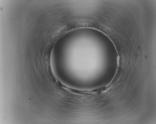 X0000071381394200607142059