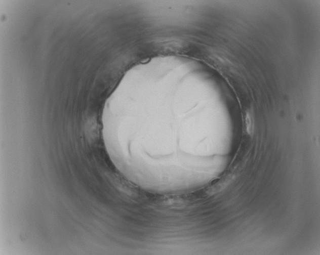 X0000071381395200607142059