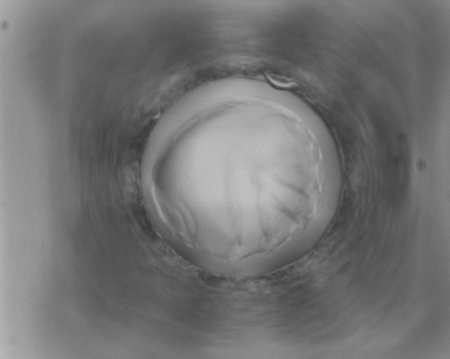 X0000071381397200607142059