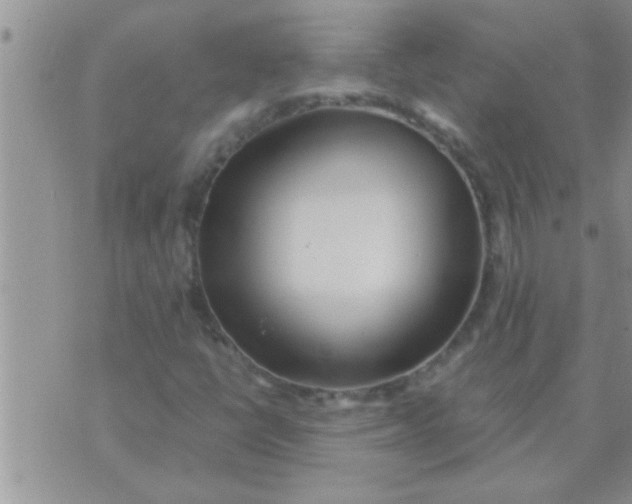 X0000071381398200607142059