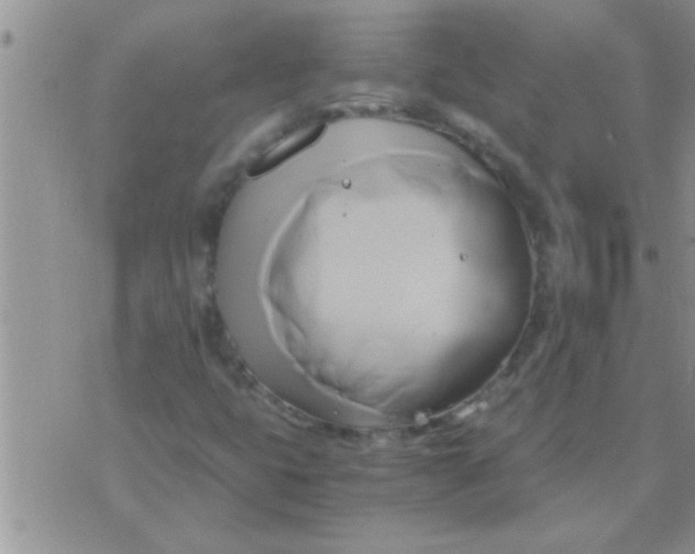 X0000071381399200607142059