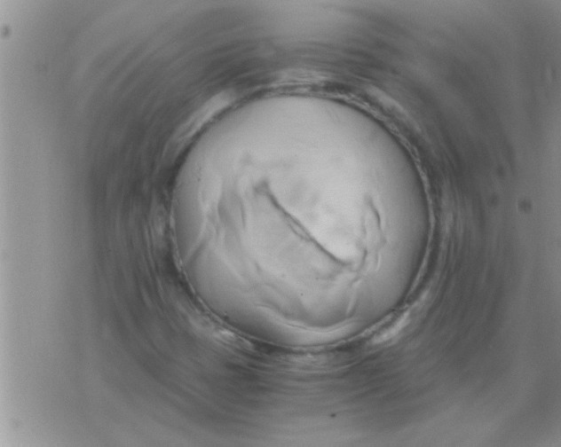 X0000071381401200607142059