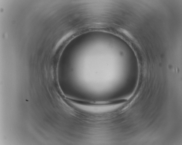 X0000071381402200607142059