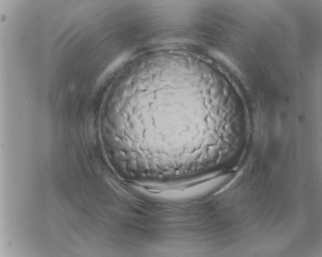 X0000071381403200607142059