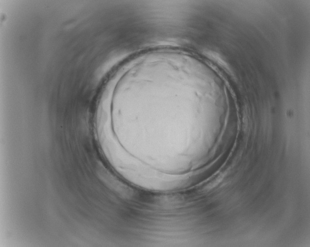 X0000071381404200607142059