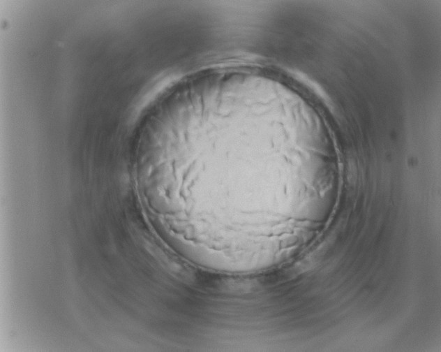 X0000071381407200607142059