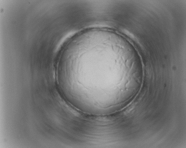 X0000071381408200607142059