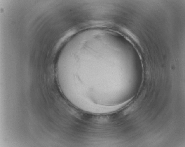 X0000071381411200607142059