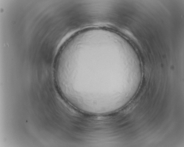 X0000071381412200607142059