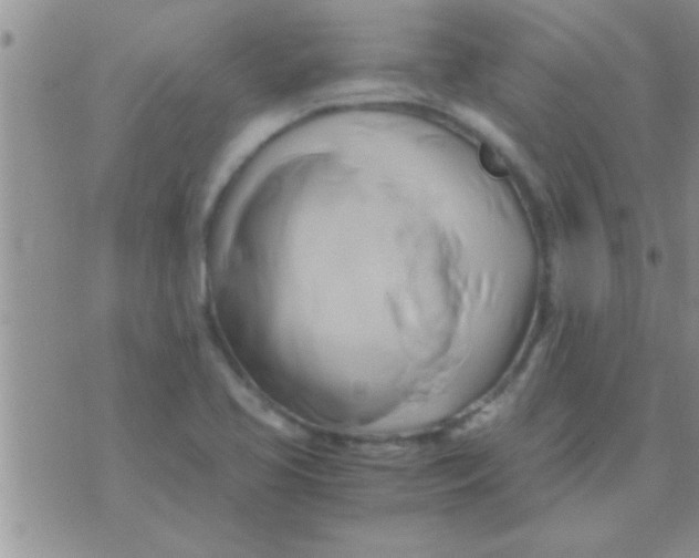 X0000071381413200607142059