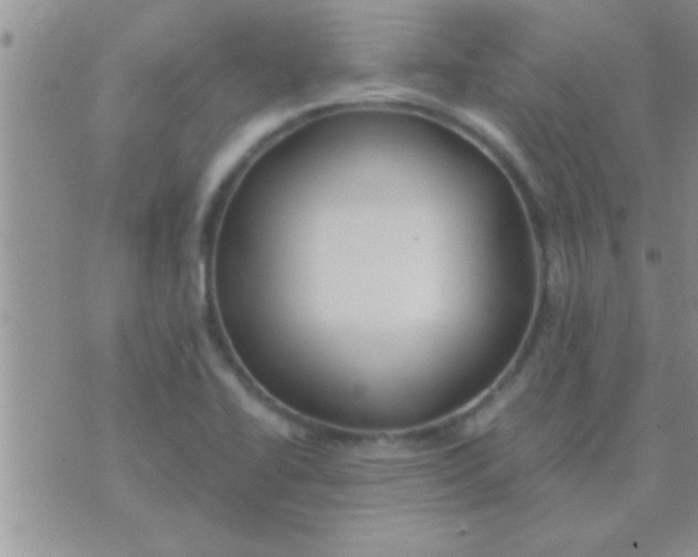 X0000071381414200607142059