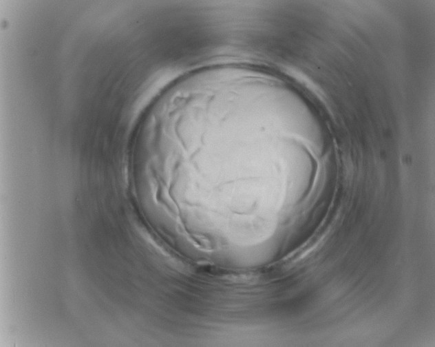 X0000071381415200607142059