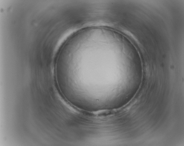 X0000071381416200607142059