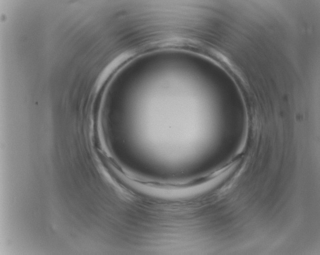 X0000071381418200607142059