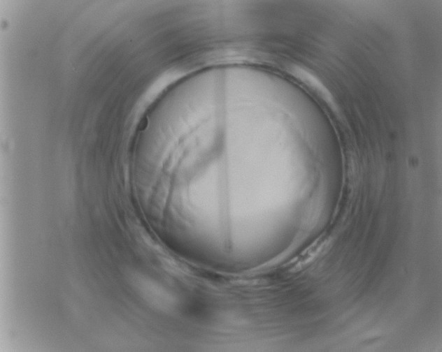 X0000071381419200607142059