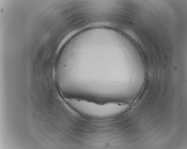 X0000071381420200607142059