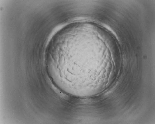 X0000071381421200607142059