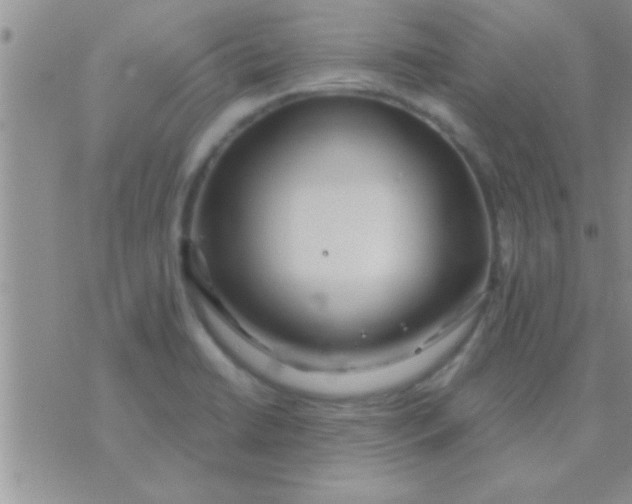 X0000071381422200607142059