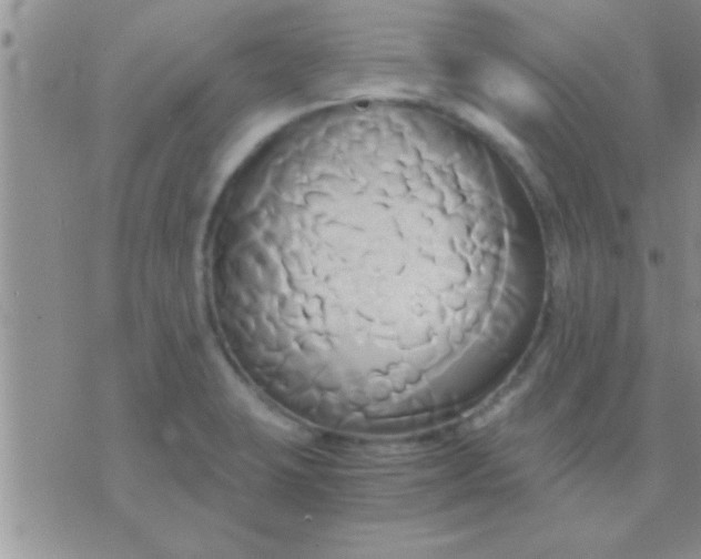 X0000071381423200607142059