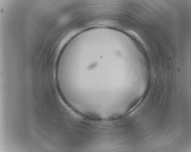 X0000071381424200607142059