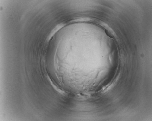 X0000071381425200607142059